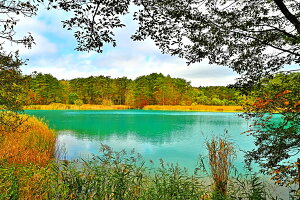 iʐ^pl  ֒ ܐFV CeA A[gpl pl ʐ^ v[g Mtg j j Vzj zj aj LO ̎vo FUK-032-M15