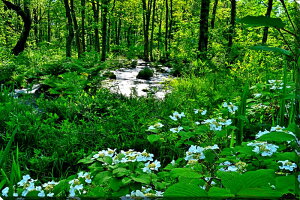 iʐ^pl  c  uf} TIO} ʉ摜 {^jJ OtBbN A[g EH[fR ₵ IV _ CeA zv炸 Ǌ| Ǐ ͗l