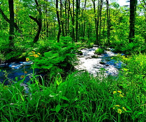 iʐ^pl  c V΂̒ TIO} {^jJ CeA A[gpl OtBbN A[g EH[fR Ǐ Ǌ| zv炸 ͗lւ ͋C   