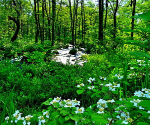 iʐ^pl  c V΂̒ uf}ƃTIO} ʉ摜 {^jJ A[gpl pl ʐ^ ₵ IV _ CeA zv炸 Ǌ| Ǐ ͗l