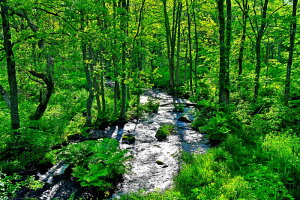 iʐ^pl  ֒ V΂̒ {^jJ OtBbN A[g EH[fR ₵ IV _ CeA v[g Mtg  j  Vz a w  