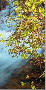 iʐ^pl  獂 BǎR A[gpl CeA pl ʐ^ Ǐ Ǌ| zv炸 ͗lւ ͋C  rO ItBX ̎vo  ₵ 