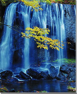 iʐ^|X^[  c㒬 V΂̒Bs 25 Mtg v[g j Vz  a LO pfudo-25