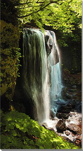 iʐ^pl  c Bs j Y  R A[gpl CeA tHgpl EH[fR A[gt[ pl ʐ^ Ǌ| zv炸 Ǐ ͋C ͗lւ