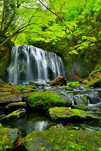 iʐ^pl  c Bs j CeA A[gpl tHgpl EH[fR A[gt[ pl ʐ^ Ǌ| zv炸 Ǐ ͋C ͗lւ rO It