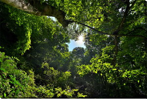 iʐ^pl st ؘR V΂Ƒz 05 ʉ摜 {^jJ z ؁X A[gpl CeA pl A[gt[ ʐ^ Mtg Ǌ| zv炸 Ǐ ͋C 