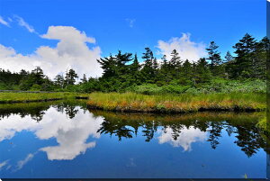 iʐ^pl  ȎR e̎ 04 ʉ摜 CeA A[gpl EH[fR pl ʐ^ Ǌ| Ǐ ͗lւ ͋C  ̎vo v[g Mtg j 