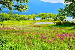 iʐ^pl  ֒ɍ炭~]nM A[gpl pl ʐ^ CeA Ǐ Ǌ| zv炸 ͗lւ ͋C   rO ItBX RAN-12-M25