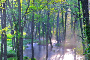 iʐ^pl  c Ă̒ 01 CeA pl ʐ^ v[g Mtg j  Vz a w  l ̓ ̓ LO Nj FUK-NGS-01-M25