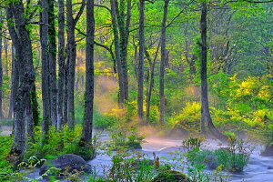 iʐ^pl  c Ă̒ 02 CeA pl ʐ^ Ǌ| Ǐ ͗lւ ͋C rO _CjO ItBX  FUK-NGS-02-M25