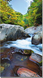 iʐ^pl  ֒ ÐkJ A[gpl CeA fBXvC EH[fR OtBbN Ǌ| Ǐ zv炸 ͗lւ ͋C  ₵ v[g Mtg 