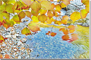 iʐ^pl  ֒ ÐkJ CeA A[gpl pl ʐ^ OtBbN EH[fR Ǌ| Ǐ zv炸 ͗lւ ͋C  rO _CjO ItBX 