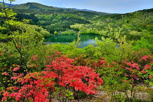 iʐ^|X^[  y ƂR 01  {^jJ CeA A[g|X^[ ʐ^ t  iF |X^[ v[g Mtg j j Vzj zj aj