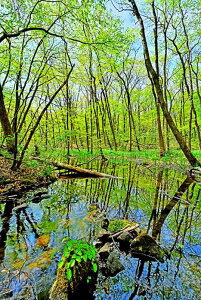 iʐ^|X^[  y j֐V΂̓oR 01  {^jJ CeA A[g|X^[ ʐ^ t  iF |X^[ v[g Mtg j j Vzj zj a