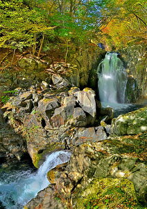 iʐ^|X^[  y H̎v̑ 03 CeA A[g|X^[ ʐ^ t  iF |X^[ v[g Mtg j j Vzj zj aj ̓ ̓ 