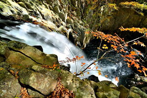 iʐ^|X^[  y H̎v̑ 09 CeA A[g|X^[ ʐ^ t  iF |X^[ v[g Mtg j j Vzj zj aj ̓ ̓ 