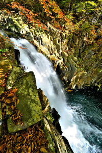 iʐ^|X^[  y H̎v̑ 08 CeA A[g|X^[ ʐ^ t  iF |X^[ v[g Mtg j j Vzj zj aj ̓ ̓ 