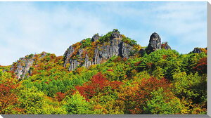 iʐ^pl  gt̗Ri傤j CeA A[gpl pl ʐ^ Ǐ Ǌ| zv炸 ͗lւ ͋C   rO ItBX r[ v[g Mtg 