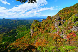 iʐ^|X^[  _ƗR i傤j 08 i₩Be A[gpl OtBbN {^jJA[g CeA EH[fR FUK-032-A