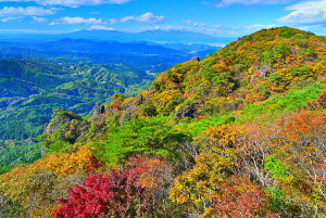 iʐ^|X^[  _ƗR i傤j 09 b₩Be A[gpl OtBbN {^jJA[g CeA EH[fR FUK-033-A