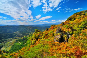 iʐ^pl  ɒBs _ƗR 14 V̑oBe CeA A[gpl EH[fR pl ʐ^ v[g Mtg i ԗ j LO ͗lւ ͋C Ǌ|