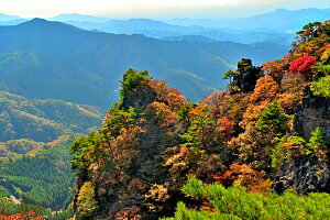 iʐ^pl  ɒBs Ri傤j̏H V̑o߂Be 02 厩R u  ₵ A[gpl CeA pl ʐ^ fBXvC EH[fR v[