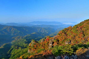 iʐ^|X^[  H̗R i傤j09 b₩Be A[gpl OtBbN {^jJA[g CeA EH[fR FUK-AK036-A