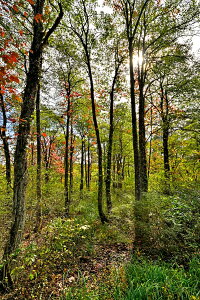 iʐ^pl  ֒ ז zƖؓ 07 v[g Mtg i ԗ j  Vz z a LO  CeA fBXvC OtBbN A[gpl ₵ 