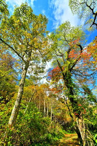 iʐ^pl  ֒ ז ؓ 04 v[g Mtg i ԗ j  Vz z a LO  CeA fBXvC OtBbN A[gpl ₵ IV