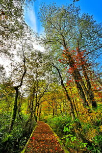 iʐ^pl  ֒ ז ؓ 08 v[g Mtg i ԗ j  Vz z a LO  CeA fBXvC OtBbN A[gpl ₵ IV