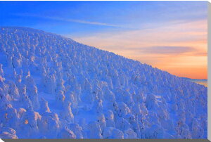 iʐ^pl R` ~̑ X Xm[X^[ A[gpl CeA EH[fR OtBbN pl ʐ^ Ǐ Ǌ| zv炸 ͗lւ ͋C  ̎vo r