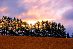 iʐ^pl kC l Ԕ̋u ̏o CeA v[g Mtg j j Vzj zj aj LO ̎v o HOK-140-B2