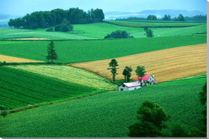 iʐ^pl kC l Ԃ̉ A[gpl OtBbNA[g EH[fR fBXvC CeA fBXvC ^yXg[ v[g Mtg j Vzj oYj