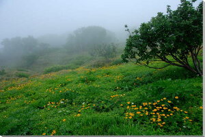 iʐ^pl kC R w_ `V}LoC\E 瓇~ CeA {^jJ Vzj zj j av[g j LO v[g Mtg ̎v