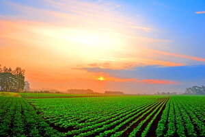 iʐ^pl kC ̒ A[gpl CeA Ǐ Ǌ| zv炸 ͗lւ ͋C  rO ItBX r[ v[g Mtg i ԗ j  Vz 