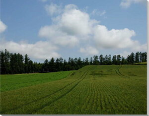 iʐ^pl kC l̕i  厩R Y k̑n ₵ CeA A[gpl EH[fR OtBbN v[g Mtg j Vzj zj j LO