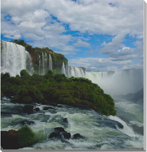 iʐ^pl EY COAX̑ 29 A[` uW Oez CeA A[gpl fBXvC EH[fR pl ʐ^ v[g Mtg i ԗ j  V