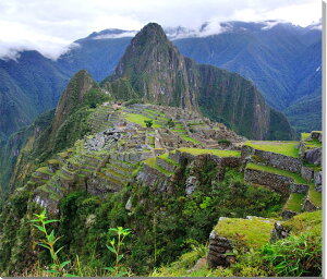 iʐ^pl y[ EY V̓ss }`s` 27 CJ鍑 _  A[gpl CeA EH[fR fBXvC OtBbN zv炸 Ǌ| Ǐ ͗lւ 