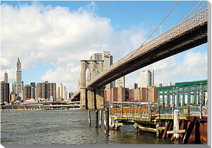 iʐ^pl j[[N ~ ubN A[gpl CeA EH[fR fBXvC pl ʐ^ Ǐ Ǌ| zv炸 ͗lւ ͋C  rO ItBX NEW-