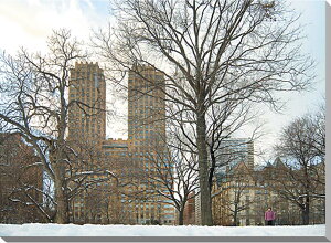 iʐ^pl j[[N ~ Zgp[N CeA A[gpl EH[fR fBXvC pl ʐ^ v[g Mtg i ԗ j  Vz z oY a