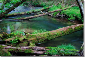 iʐ^pl  ꃖV  A[gpl CeA OtBbNA[g EH[fR fBXvC Ǐ Ǌ| zv炸 ͗lւ ͋C tH[ Vz  