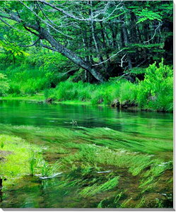 iʐ^|X^[  ꃖV  CeA Ǌ| Ǐ ͗lւ ͋C rO _CjO ItBX  osp-n07