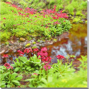 iʐ^pl  胖l N\E ֑ CeA A[gpl pl ʐ^ v[g Mtg j  V oY a w  l LO Ǌ| Ǐ zv炸 