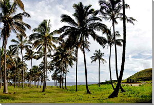 iʐ^pl EY C[X^[ AtEiEiE qƃAC CeA A[gpl pl ʐ^ EH[fR OtBbN zv炸 ͗lւ ͋C  ̎vo r