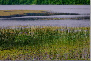 iʐ^pl  A[gpl CeA fBXvC EH[fR pl ʐ^ Ǌ| Ǐ z炸 ͗lւ ͋C  ̎vo ₵ IV _ rO _