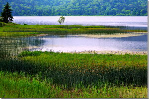 iʐ^pl A炭 CeA A[gpl pl ʐ^ v[g Mtg i ԗ j  Vz z oY a w  l AE LO OZE-019-M25