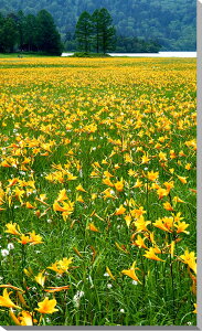 iʐ^pl  jbRELXQ {^jJ A[gpl CeA EH[fR fBXvC Ǐ Ǌ| zv炸 ͗lւ ͋C ̎vo  v[g Mtg 