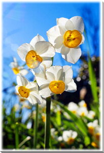 iʐ^pl t [ 働[h {^jJ EH[fR A[gpl OtBbN CeA  v[g Mtg i j  V oY a w  l LO