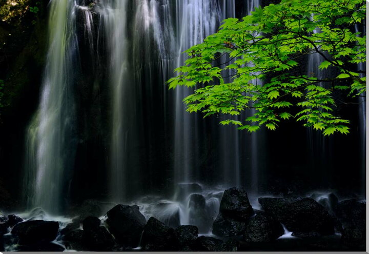 楽天市場】風景写真パネル 福島 猪苗代 達沢不動滝 男滝 インテリア 