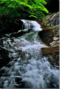 iʐ^pl  {s kJxRV ̑ i傤イ̂j 厩R  ₵  CeA pl ʐ^ Ǐ Ǌ| zv炸 ͗lւ 